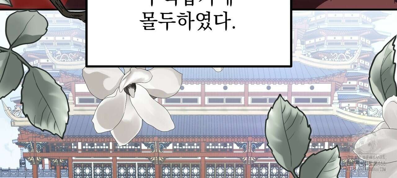 동백꽃 16화 6