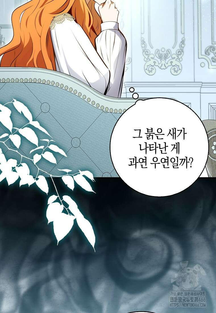 아기 다람쥐가 다 잘해요 94화 73