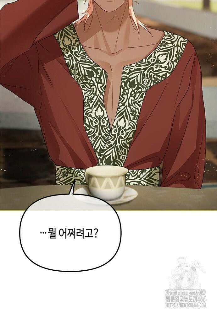 가짜 애첩의 화려한 일상 115화 9