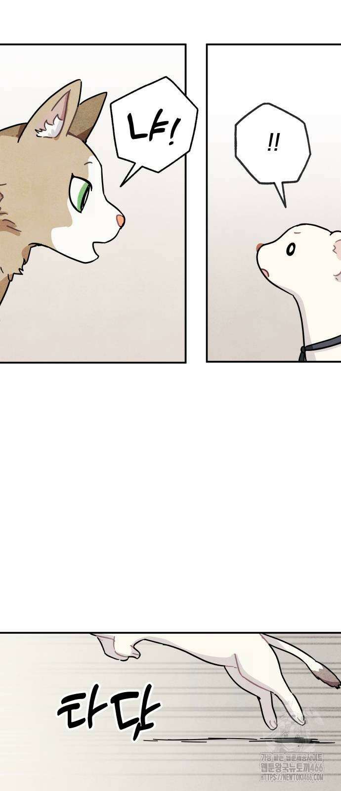 묘약마녀 85화 5
