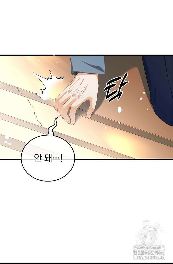 황태자의 용으로 태어났다 40화 9
