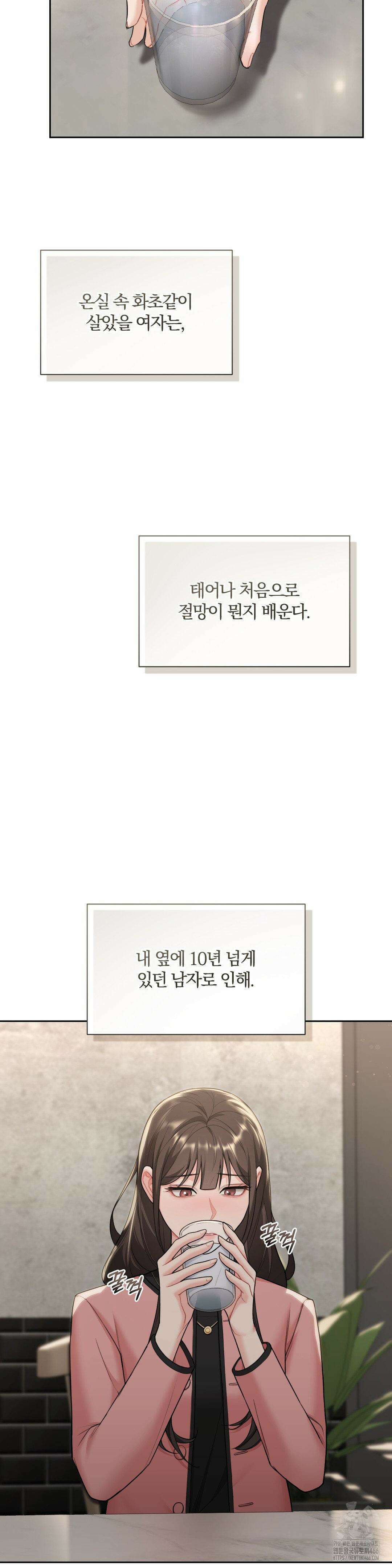 내겐 너무 다정한 보스 17화 31