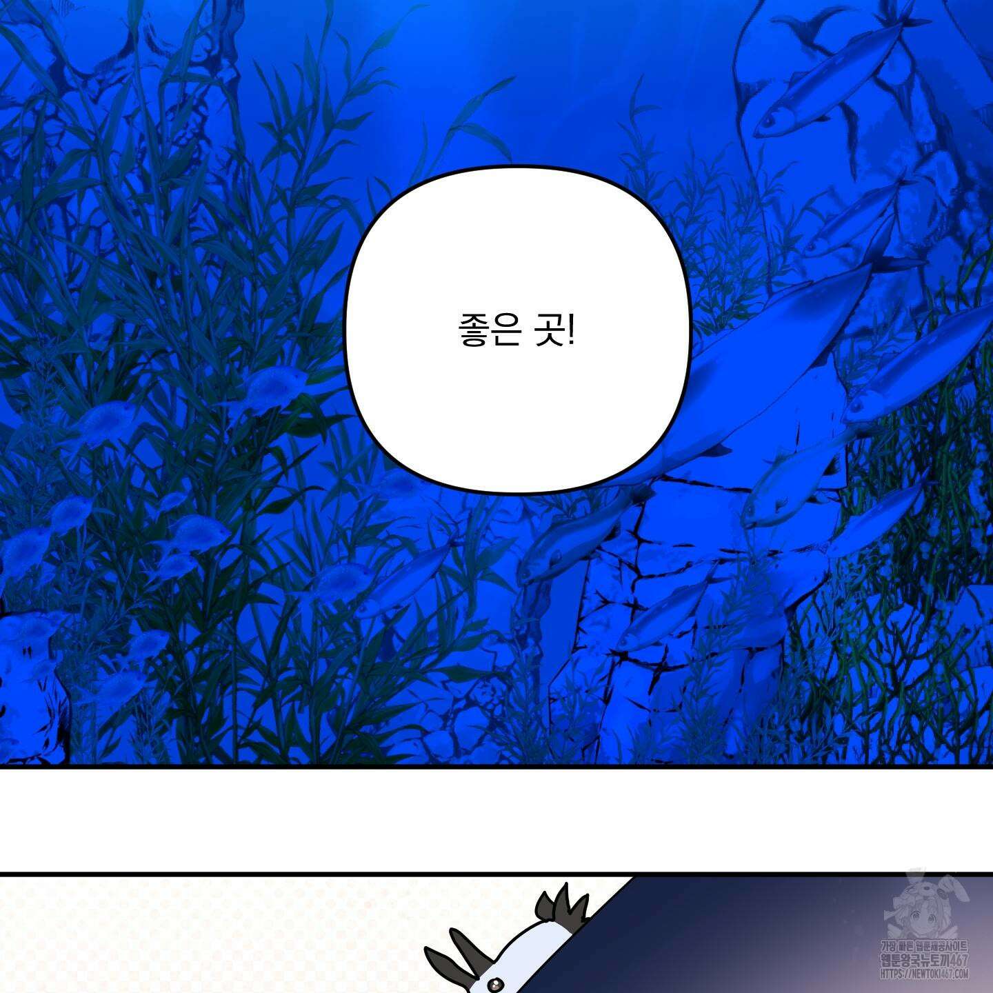 상어에게서 토끼는 방법 53화(최종화) 60