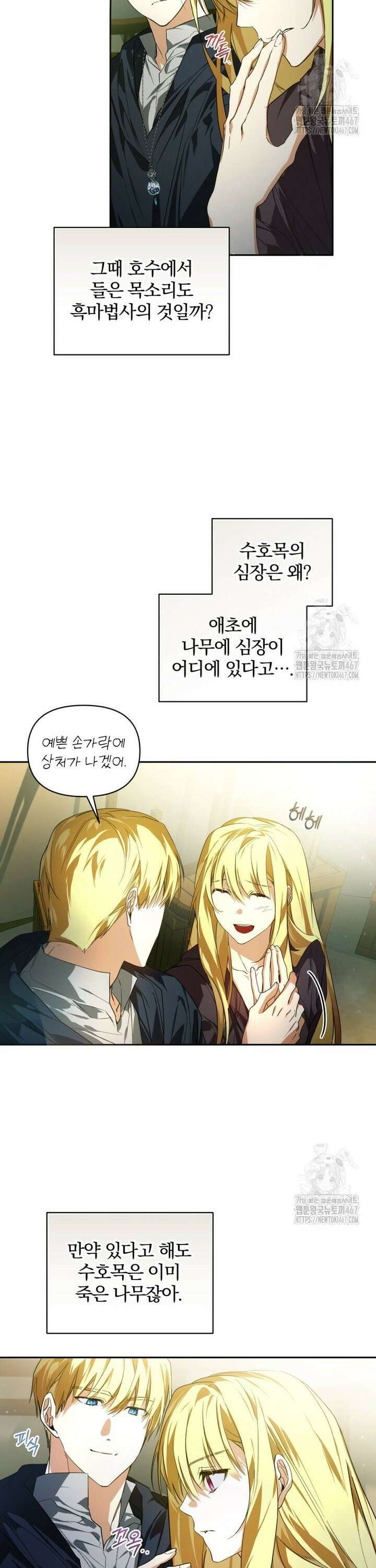 미친 악당의 품으로 떨어졌다 54화 28