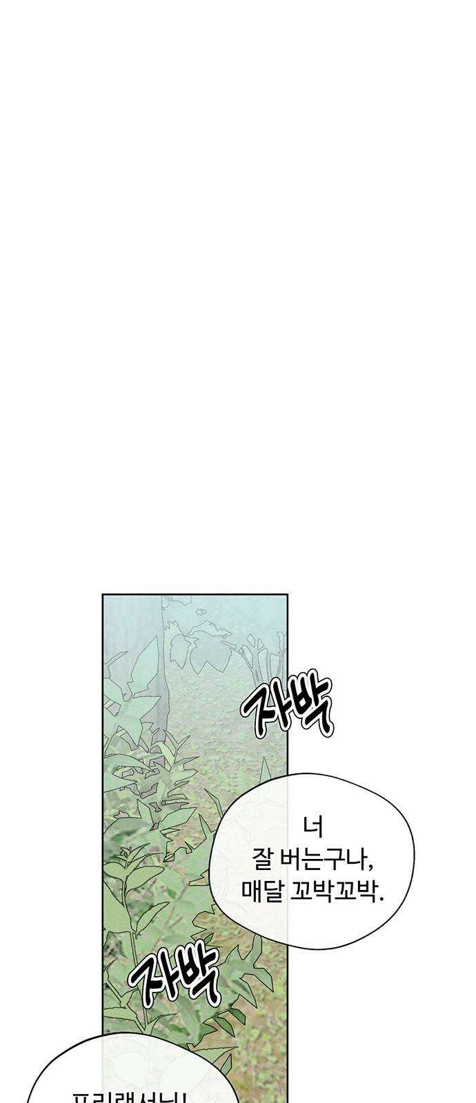 러브 로스팅 26화 17