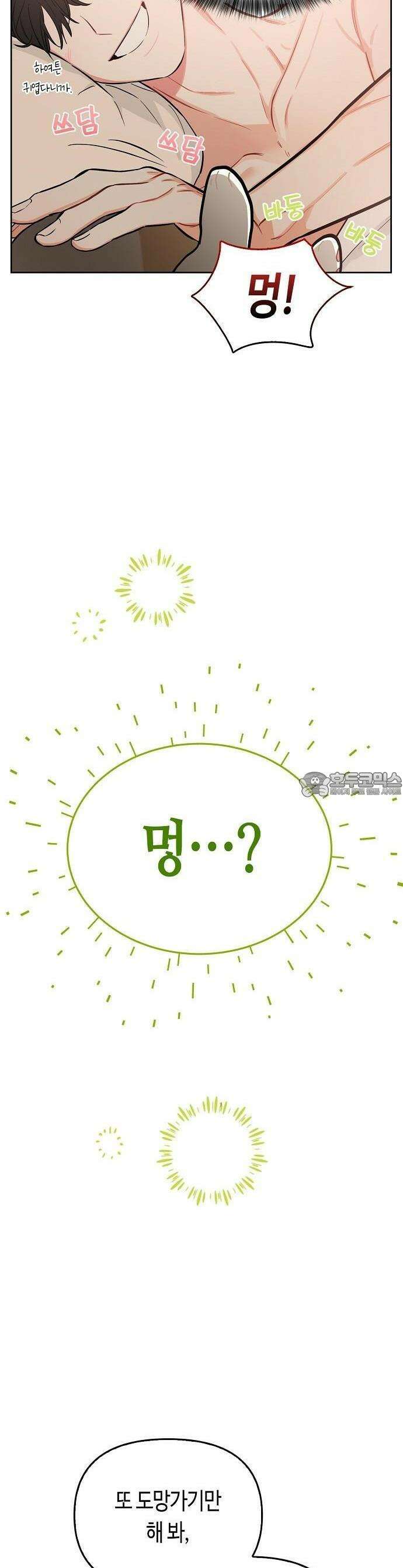 대표님의 개가 되겠습니다 1화 7