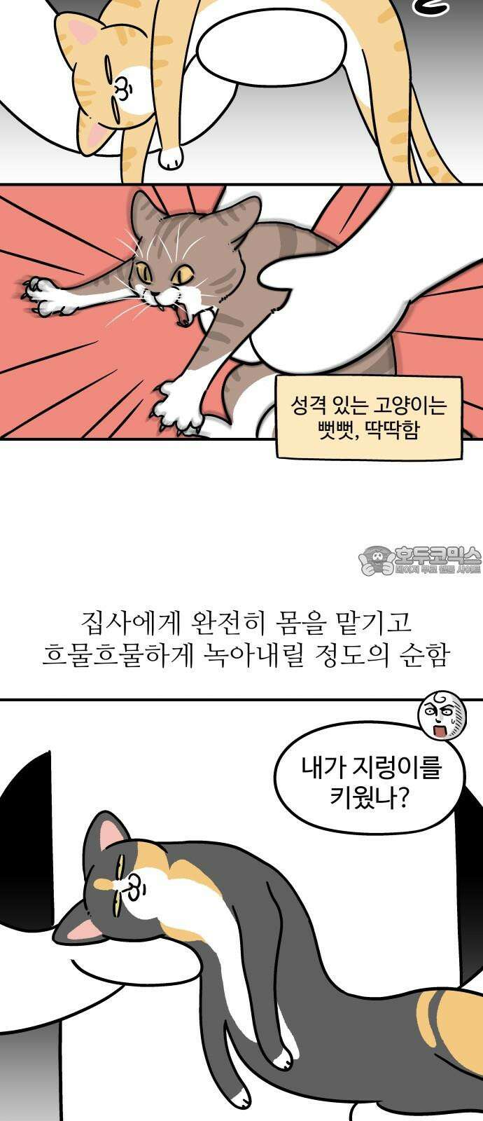 노곤하개 쇼츠 고양이 욘두 3
