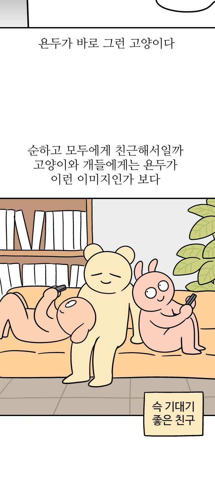 노곤하개 쇼츠 고양이 욘두 4