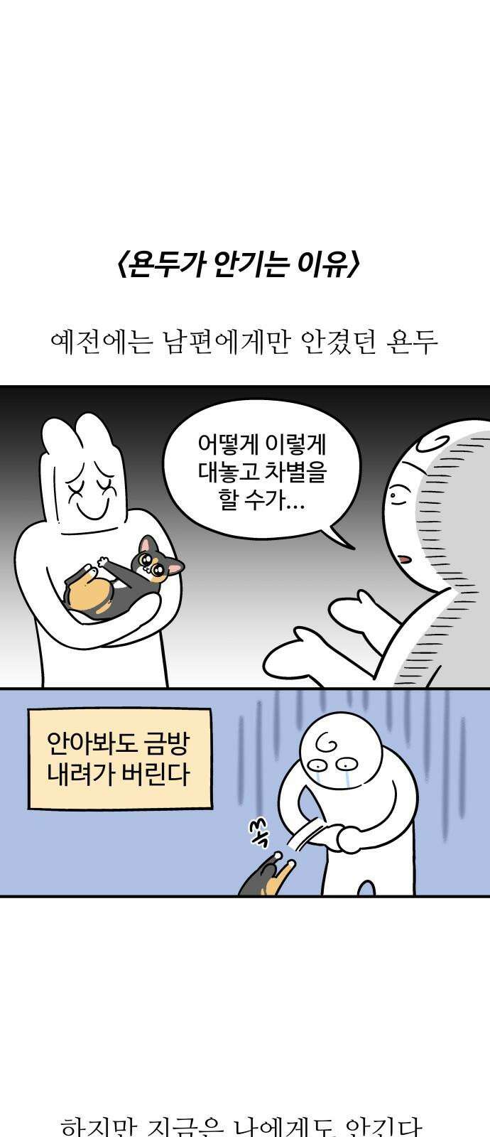 노곤하개 쇼츠 고양이 욘두 7