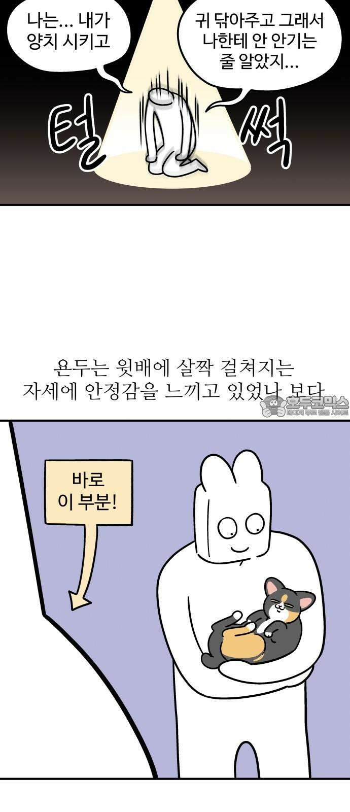 노곤하개 쇼츠 고양이 욘두 9
