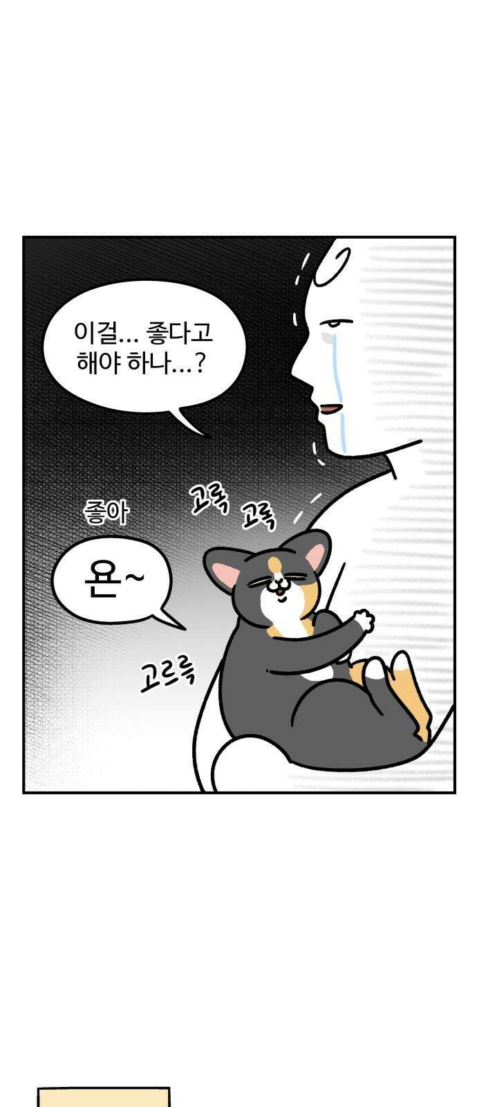 노곤하개 쇼츠 고양이 욘두 10