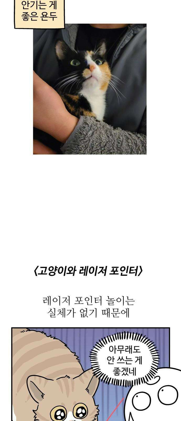 노곤하개 쇼츠 고양이 욘두 11