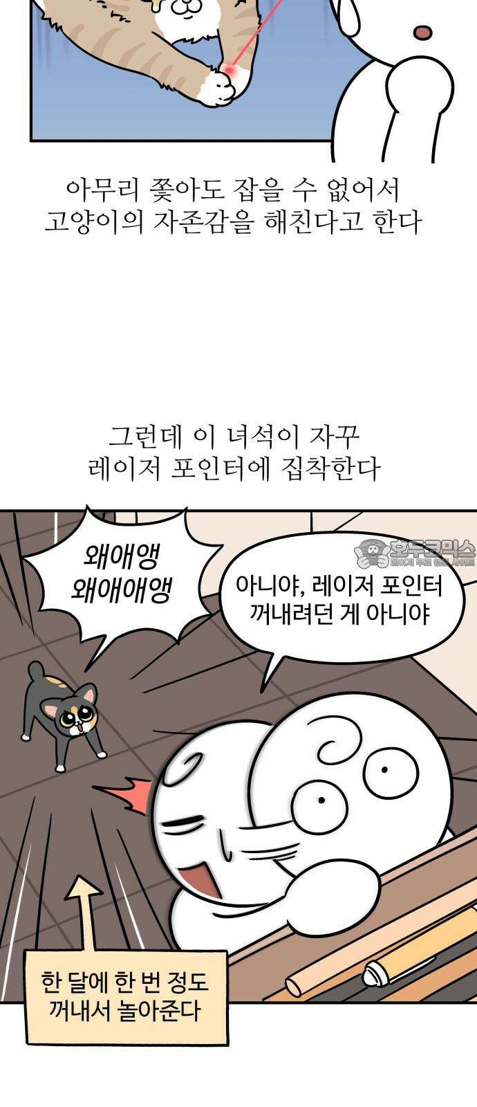 노곤하개 쇼츠 고양이 욘두 12