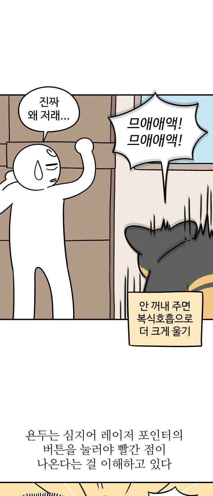 노곤하개 쇼츠 고양이 욘두 13