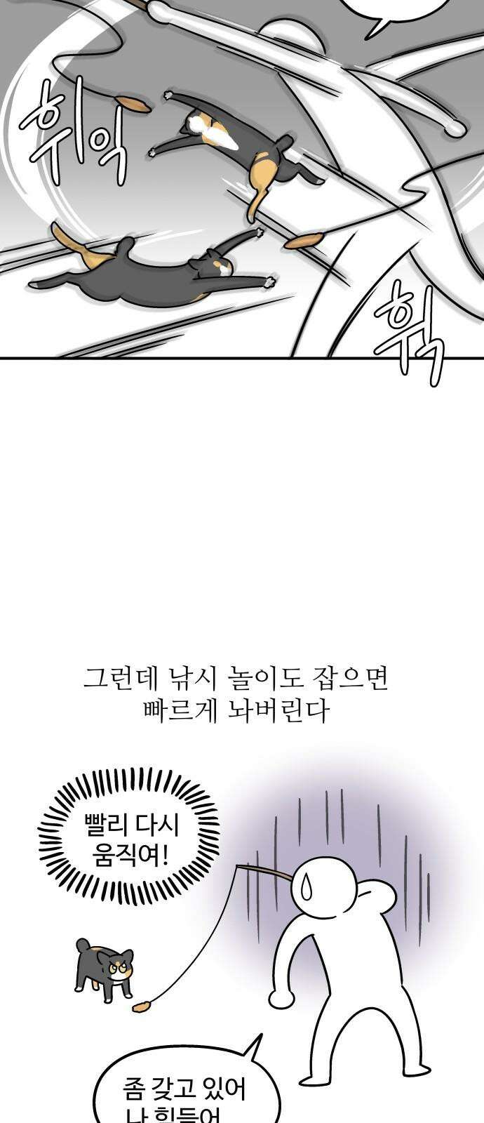 노곤하개 쇼츠 고양이 욘두 17