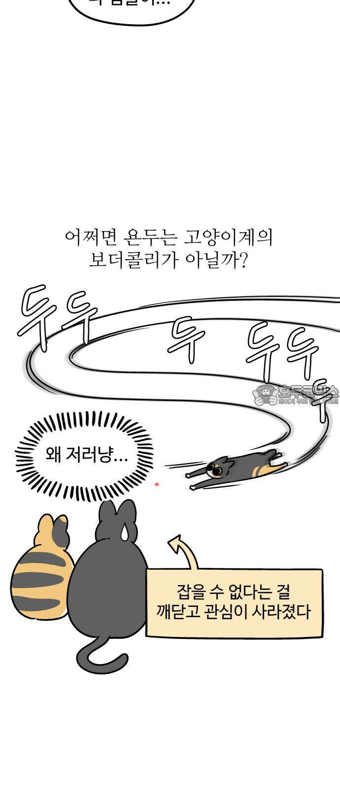 노곤하개 쇼츠 고양이 욘두 18