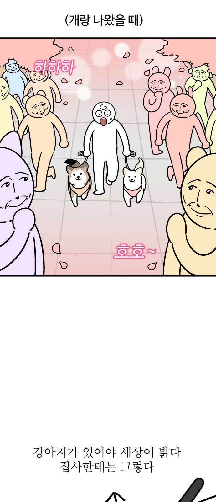 노곤하개 쇼츠 강아지와 다닐 때 5
