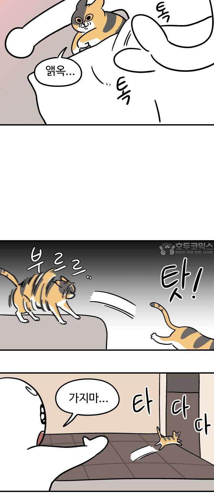 노곤하개 쇼츠 강아지와 다닐 때 9