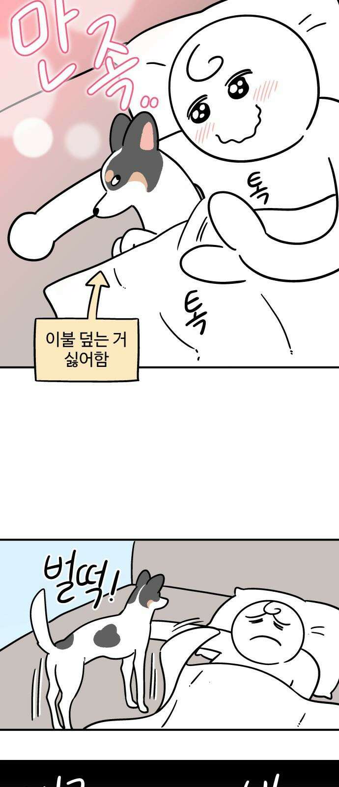 노곤하개 쇼츠 강아지와 다닐 때 11