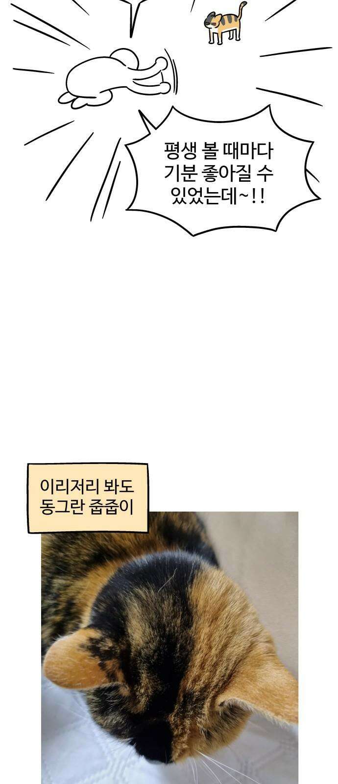 노곤하개 쇼츠 강아지와 다닐 때 17