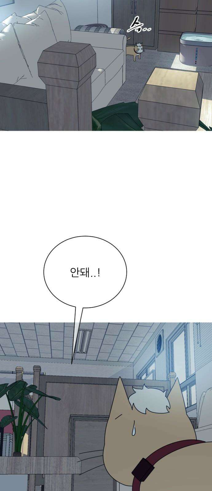 아는 사람 43화 : 운동회(1) 11