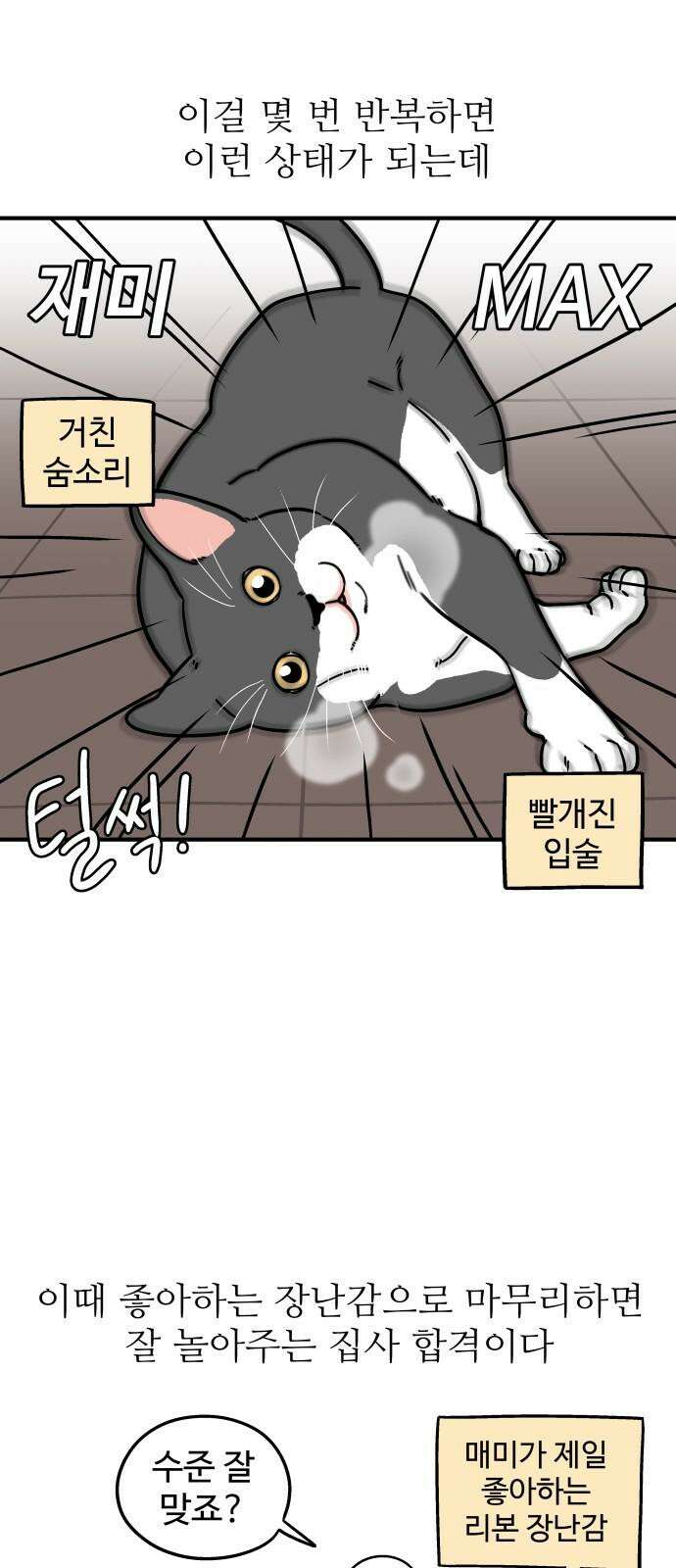 노곤하개 쇼츠 마주친 순간 5