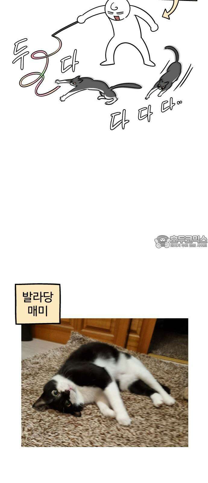 노곤하개 쇼츠 마주친 순간 6
