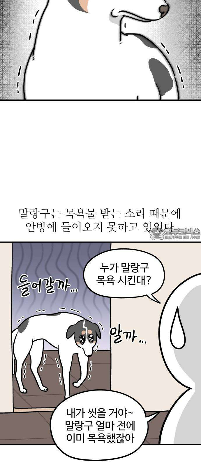 노곤하개 쇼츠 마주친 순간 9