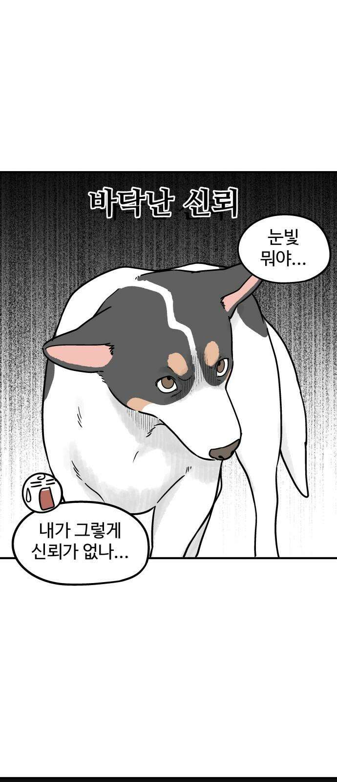 노곤하개 쇼츠 마주친 순간 10