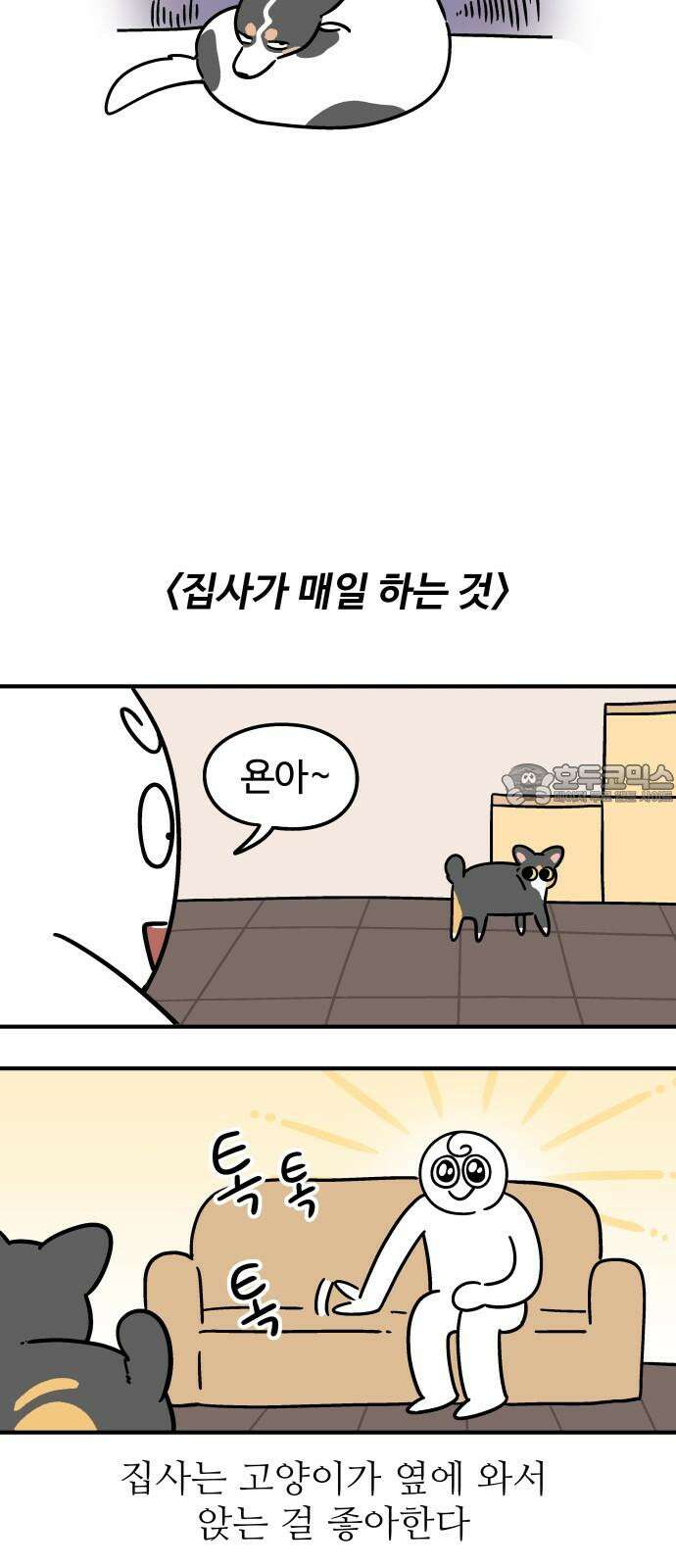 노곤하개 쇼츠 마주친 순간 12