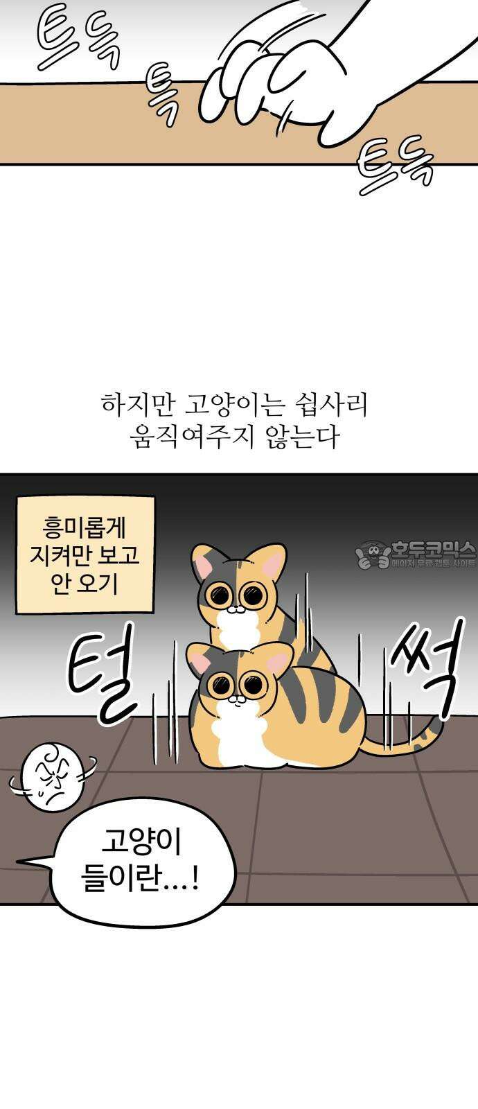 노곤하개 쇼츠 마주친 순간 15