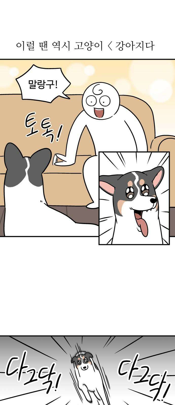 노곤하개 쇼츠 마주친 순간 16