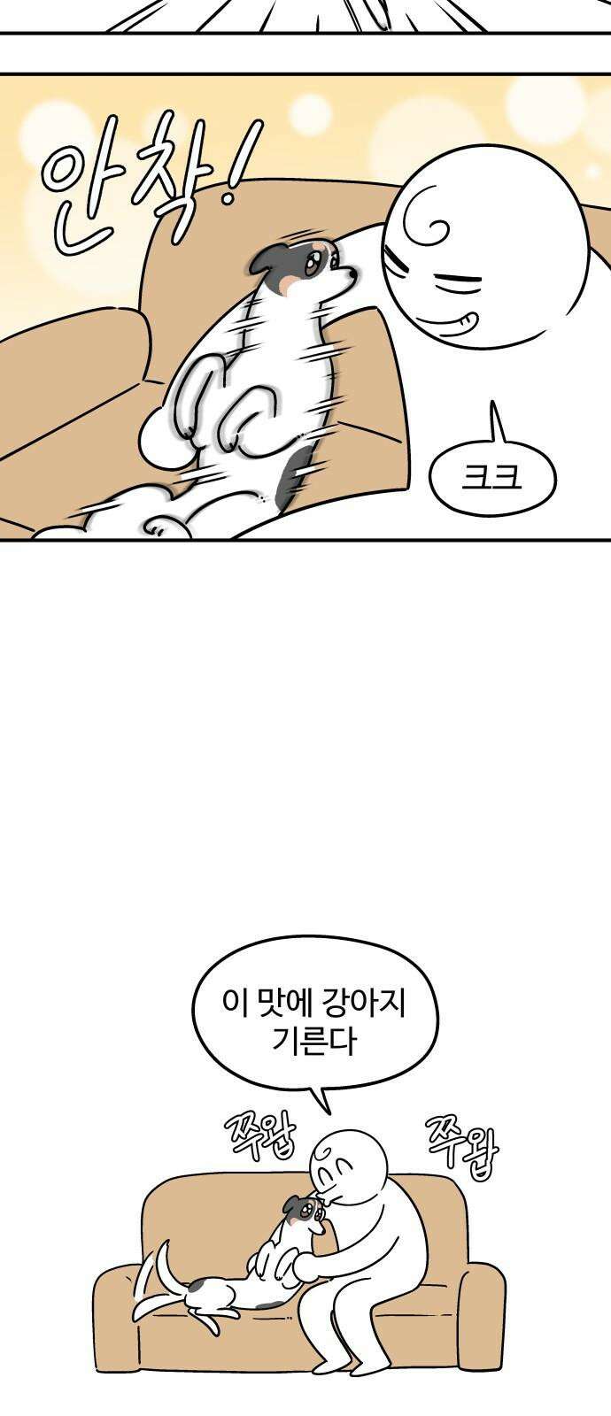 노곤하개 쇼츠 마주친 순간 17