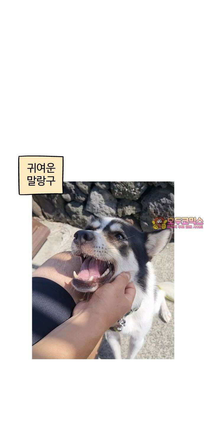 노곤하개 쇼츠 마주친 순간 18