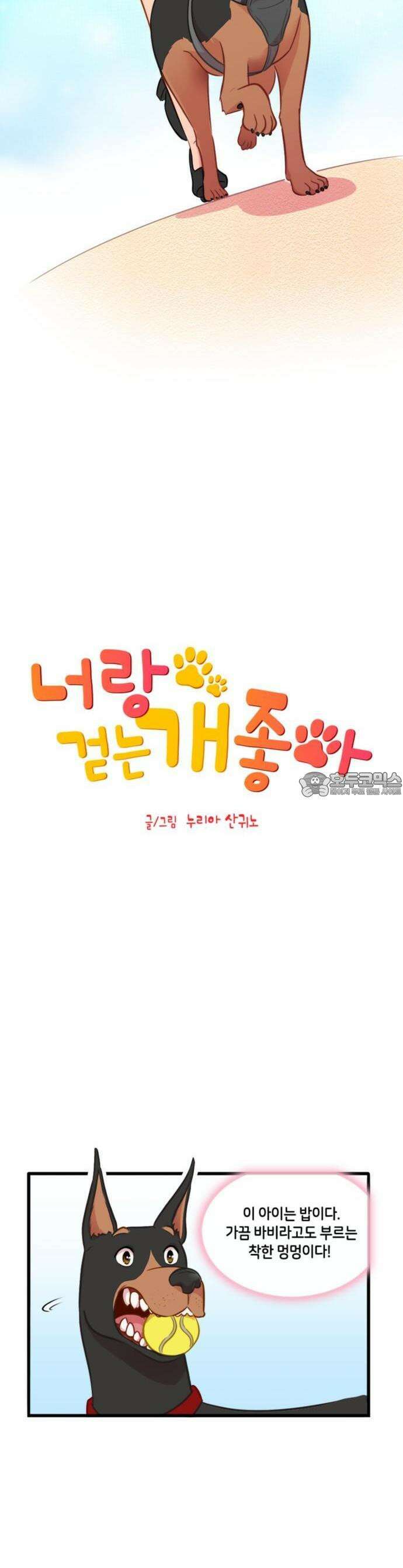 너랑 걷는 개 좋아 1화 3