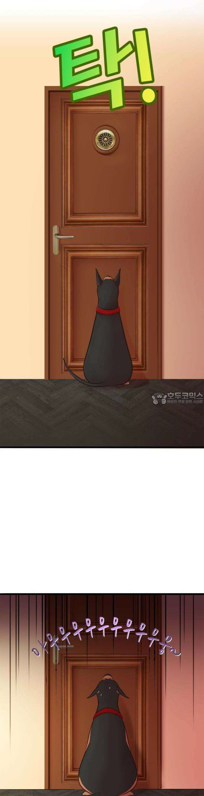 너랑 걷는 개 좋아 1화 7
