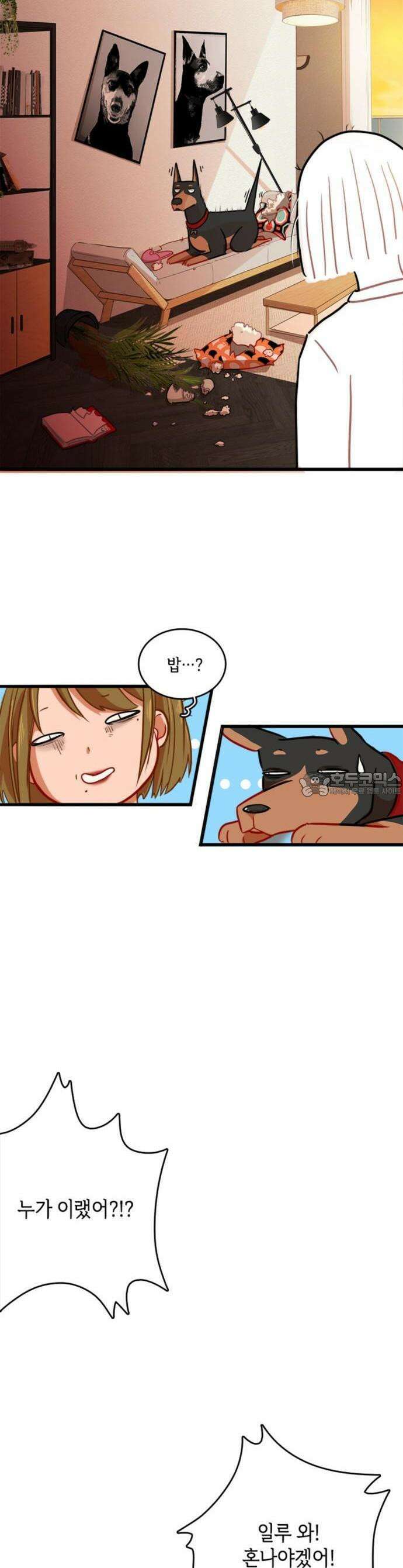 너랑 걷는 개 좋아 1화 17