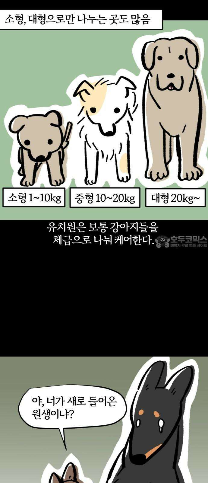 개집사 68화: 왕개 3