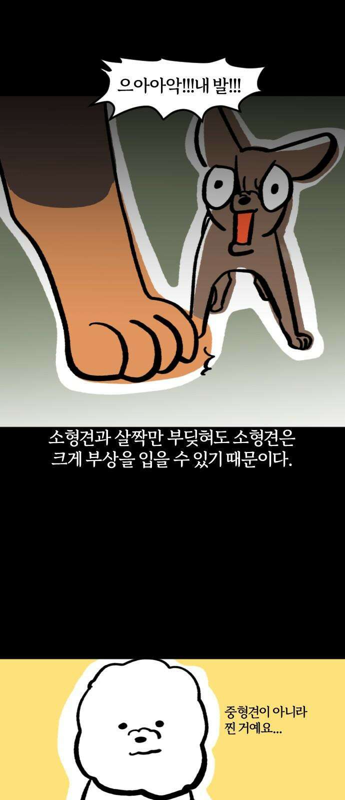 개집사 68화: 왕개 5