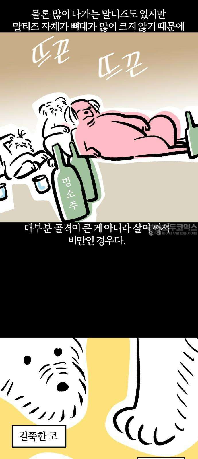 개집사 68화: 왕개 12