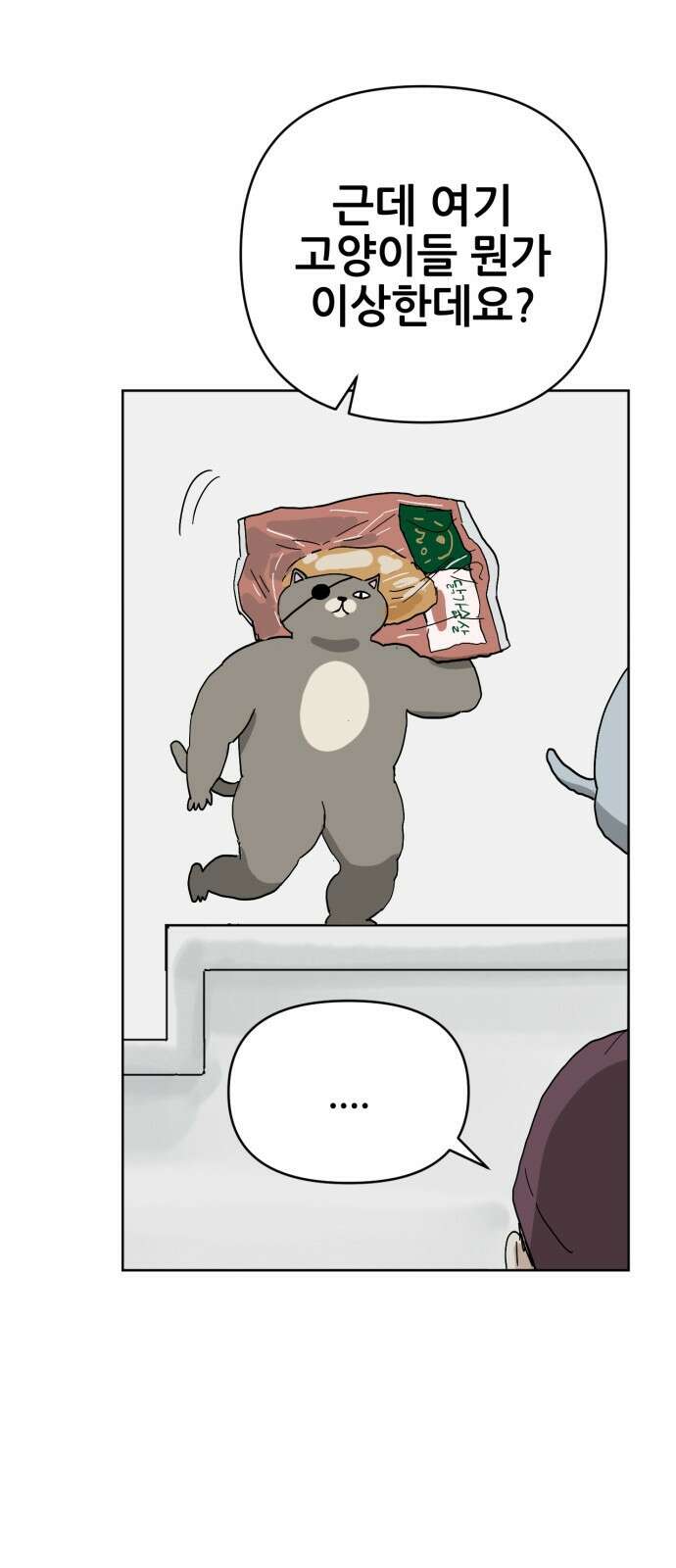 괴양이 84화 인터뷰 10