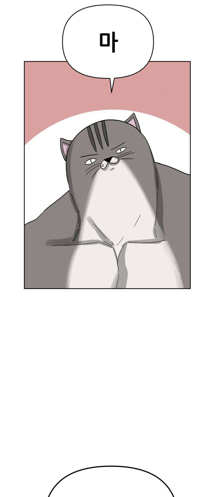 괴양이 84화 인터뷰 31