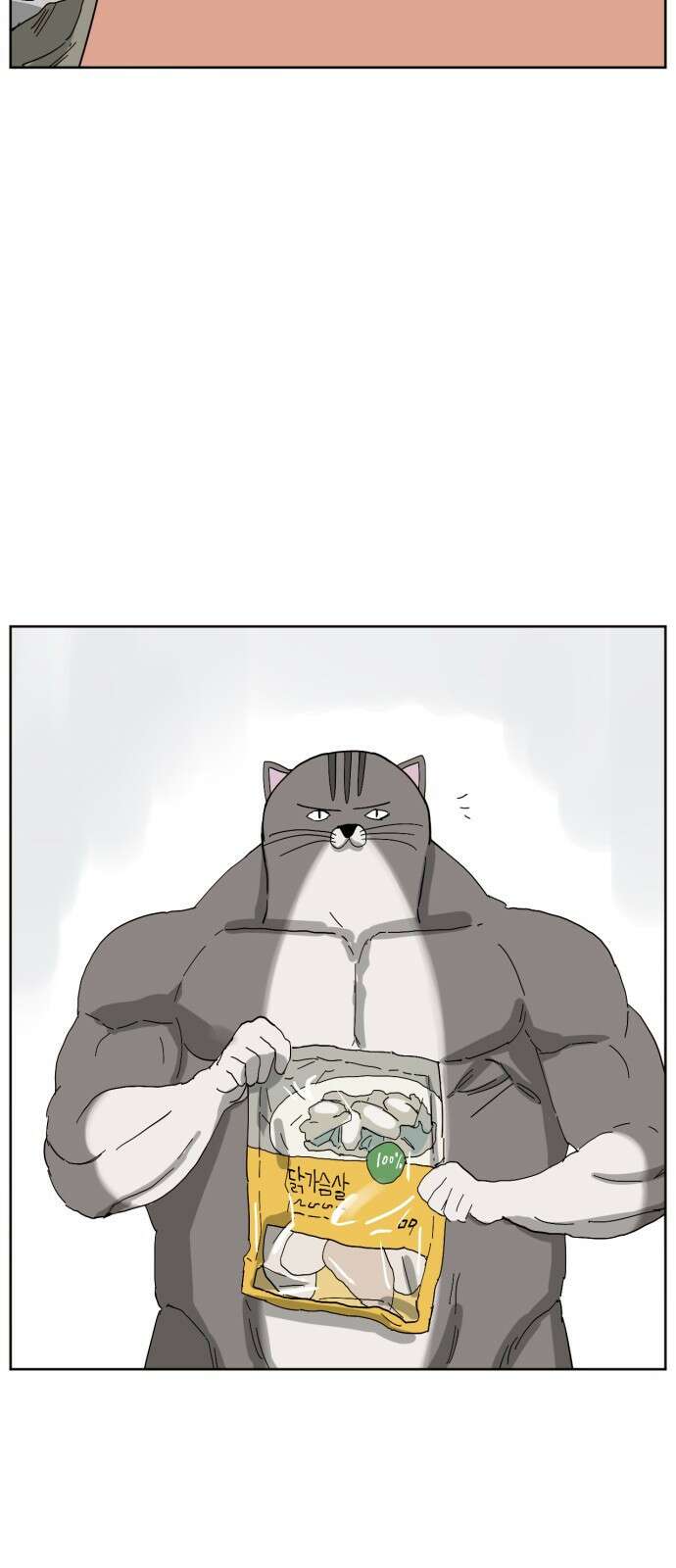 괴양이 84화 인터뷰 39