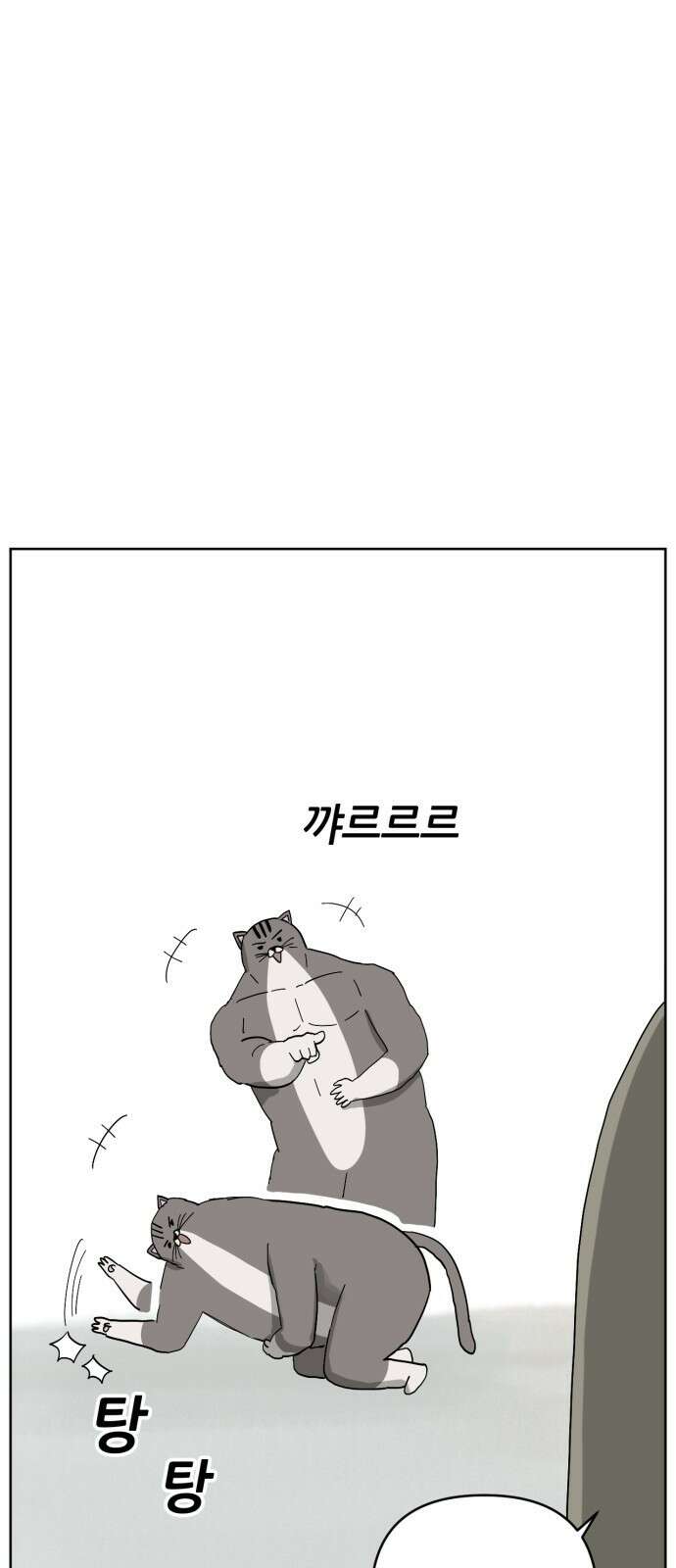 괴양이 84화 인터뷰 41