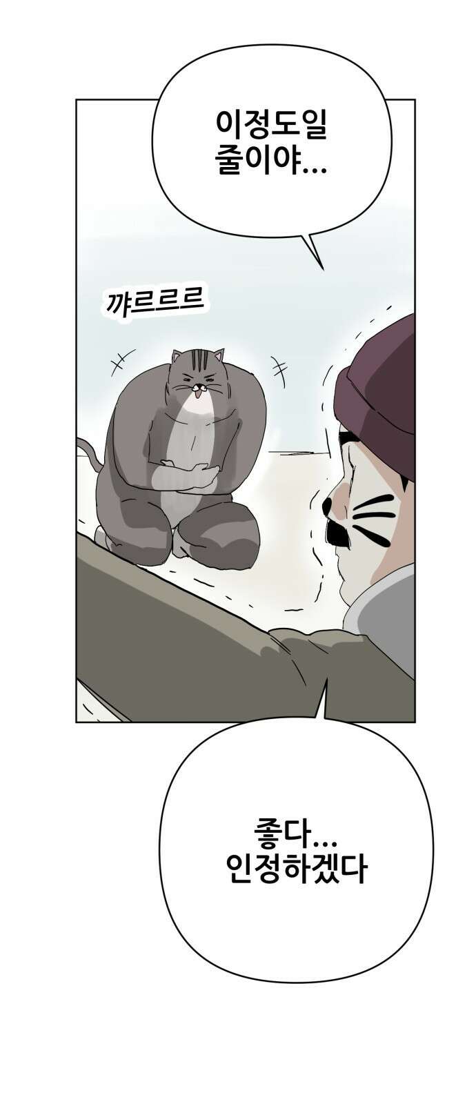 괴양이 84화 인터뷰 47