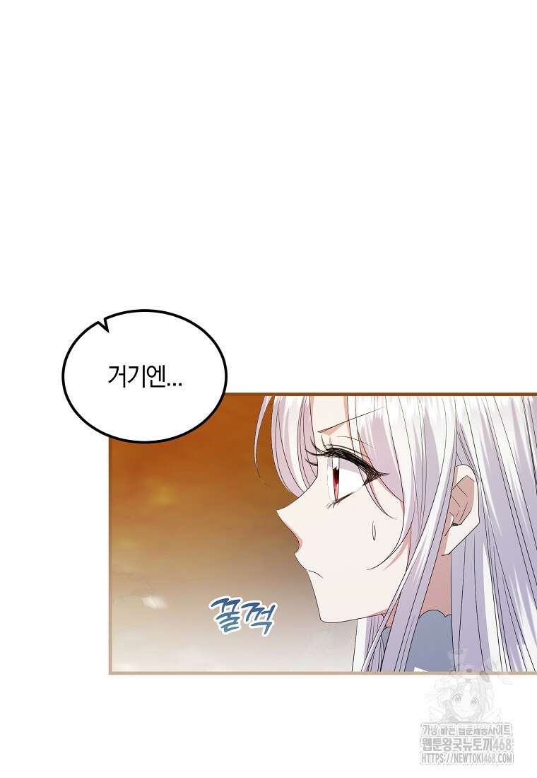 영웅은 됐어요, 은퇴라면 몰라도 54화 13