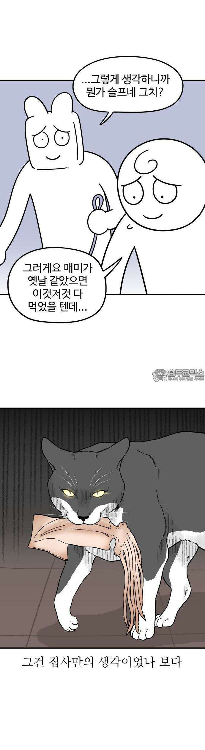 노곤하개 쇼츠 매미와 오징어 2