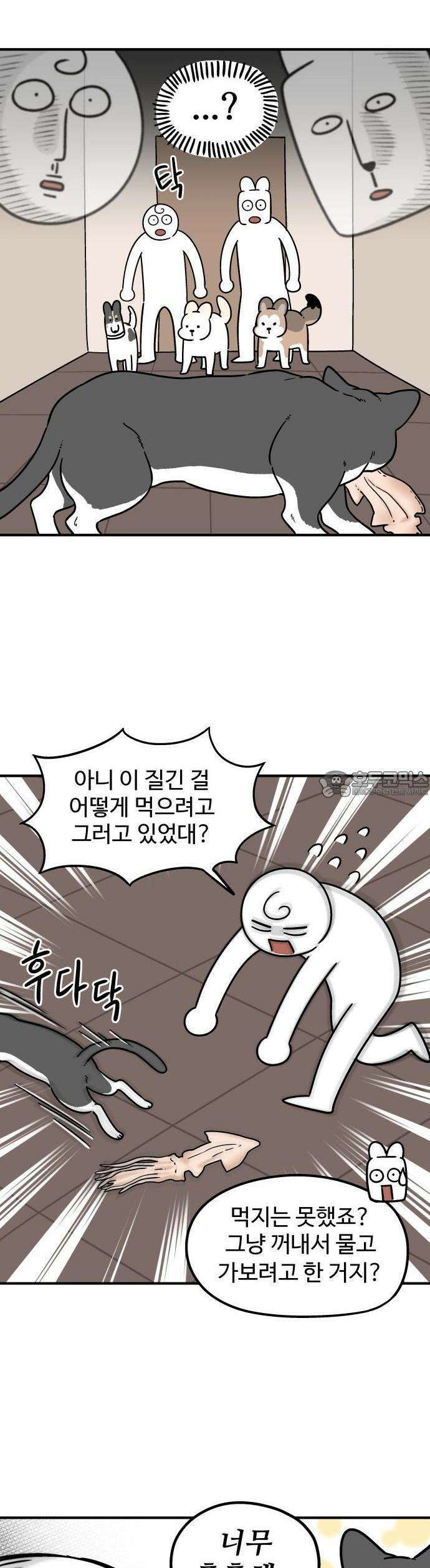 노곤하개 쇼츠 매미와 오징어 3