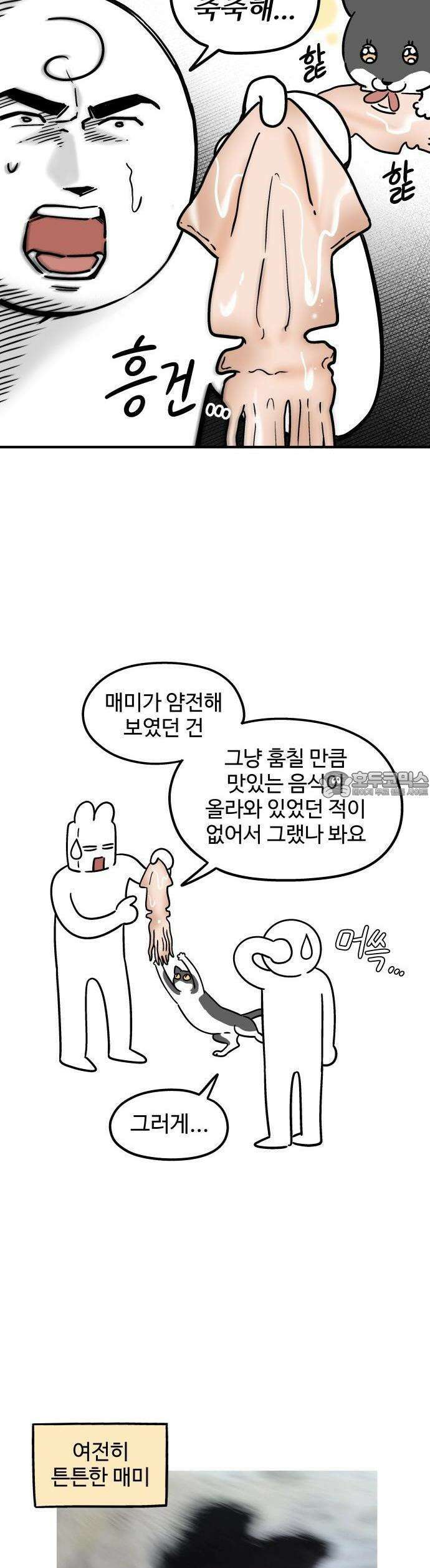 노곤하개 쇼츠 매미와 오징어 4