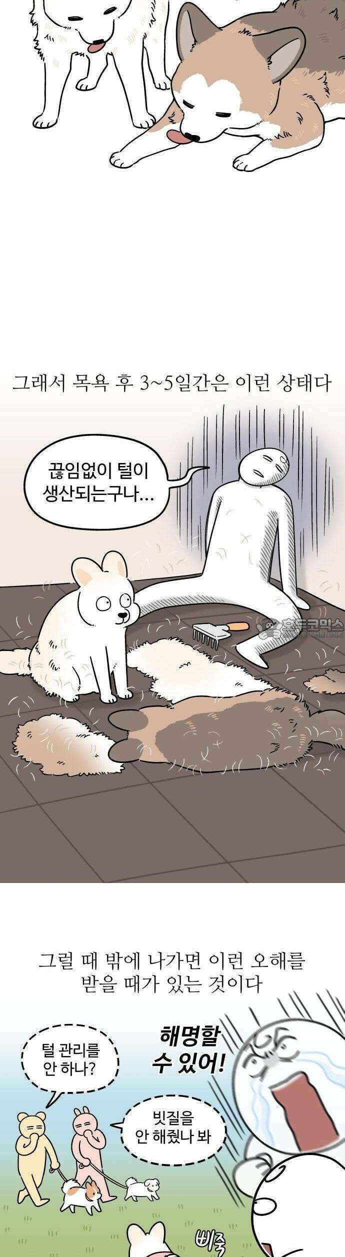 노곤하개 쇼츠 매미와 오징어 6